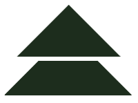 pinevision logotyp